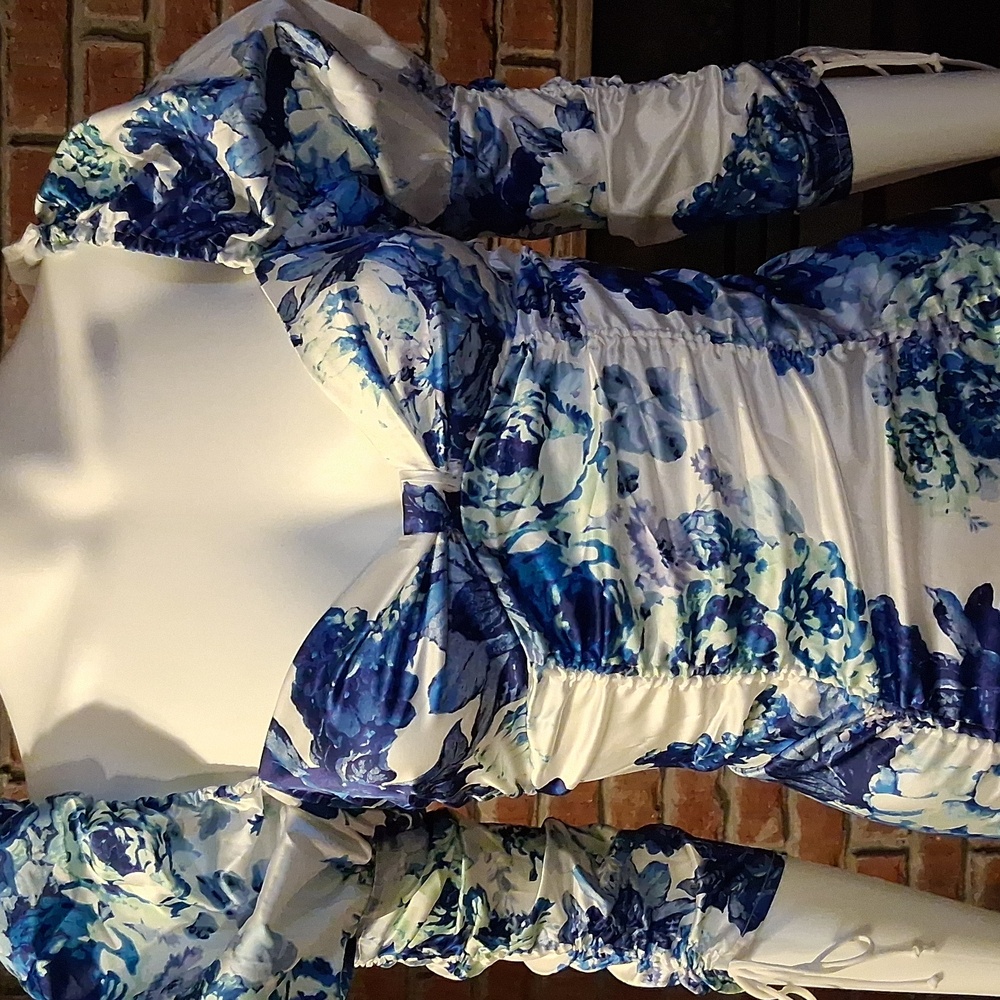 For Love And Lemons Blue and White Floral Dress - Picture 2 of 12